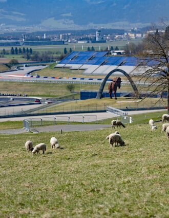Red Bull Ring Frühing | Anita Fössl | © Erlebnisregion Murtal