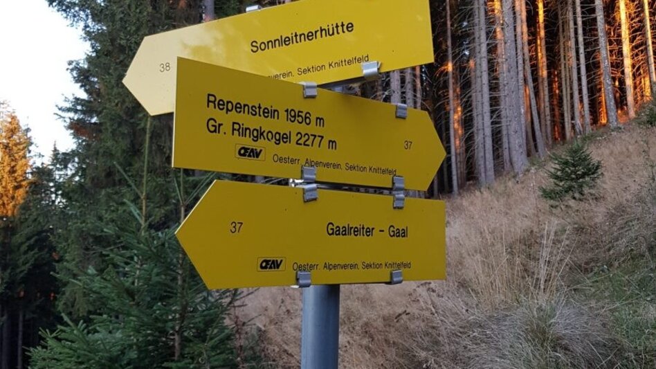 Wanderung Pletzen vom Gaalreiter - Touren-Impression #2.4 | © Martin Muhrer / bergfexmartin.at