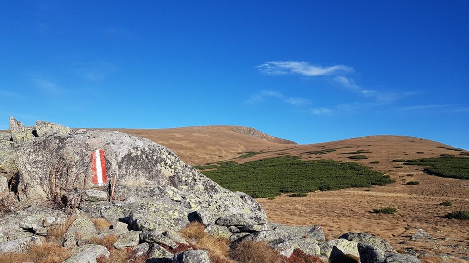 Wanderung Pletzen vom Gaalreiter - Touren-Impression #2.12 | © Martin Muhrer / bergfexmartin.at