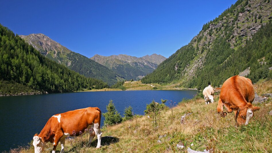 Motor Bike Ennstal Prolog - Touren-Impression #2.5 | © Erlebnisregion Schladming-Dachstein