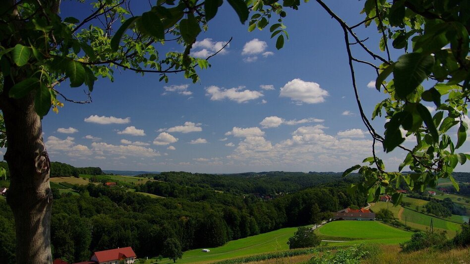 Wanderung Wanderweg Rund um Stein / Weg 3 - Touren-Impression #2.8 | © Thermen- & Vulkanland