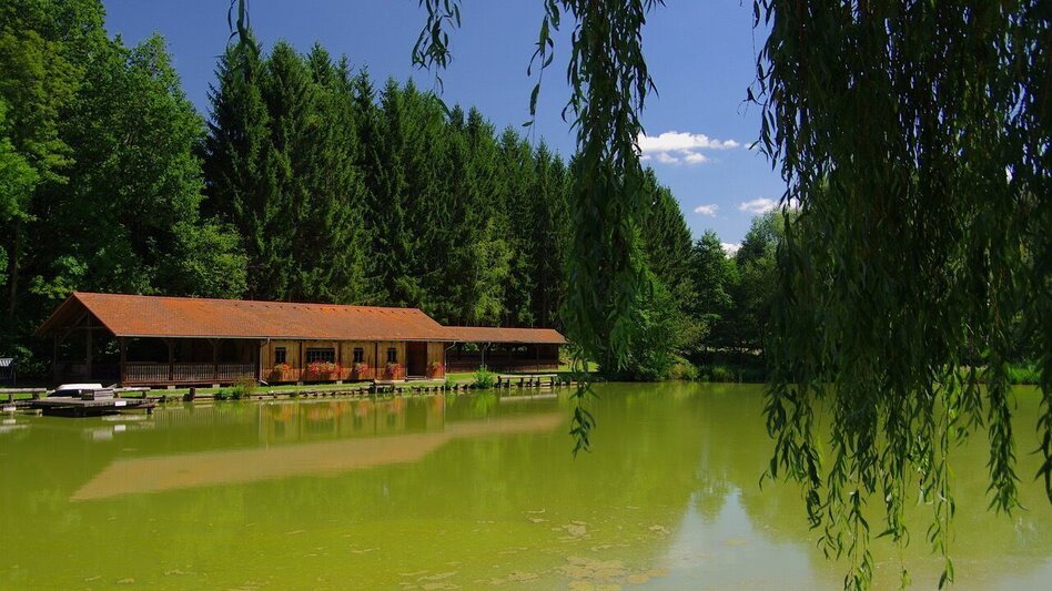 Wanderung Wanderweg Rund um Stein / Weg 3 - Touren-Impression #2.9 | © Thermen- & Vulkanland