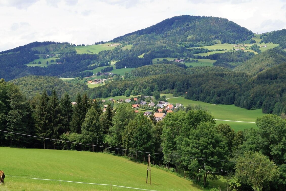Wanderung R7 Tannebenwald-Rundweg mit Kunstkogelweg - Touren-Impression #1 | © Region Graz