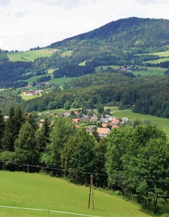 r7 tannebenwald-rundweg mit kunstkogelweg_img_19155135 | Hirsch Florian | © Region Graz