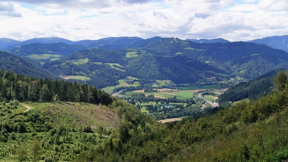 Wanderung R7 Tannebenwald-Rundweg mit Kunstkogelweg - Touren-Impression #2.2 | © Region Graz