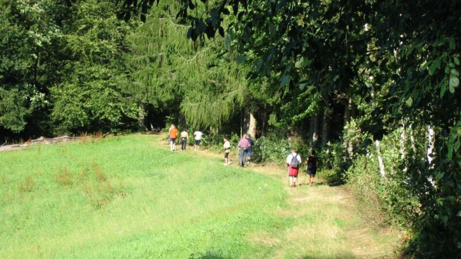 Wanderung R11 Lehrwanderweg - Touren-Impression #2.1 | © Region Graz