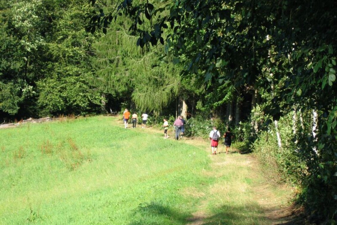 Wanderung R11 Lehrwanderweg - Touren-Impression #1 | © Region Graz