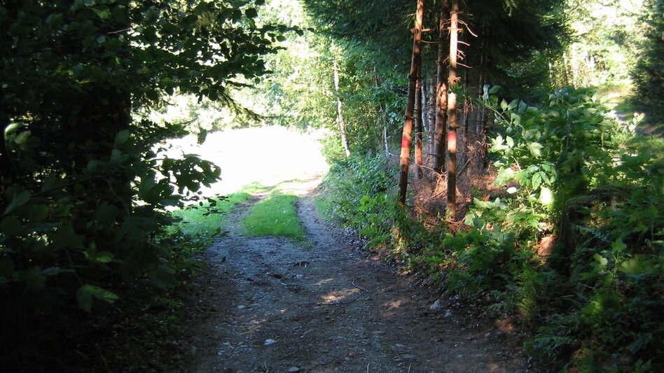 Wanderung R11 Lehrwanderweg - Touren-Impression #2.2 | © Region Graz