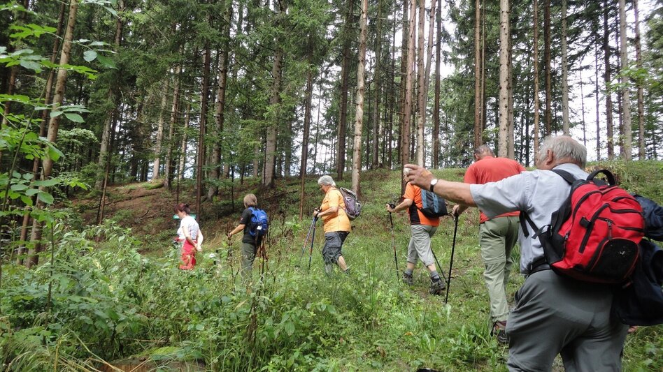 Wanderung R11 Lehrwanderweg - Touren-Impression #2.3 | © Region Graz