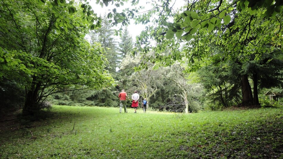 Wanderung R11 Lehrwanderweg - Touren-Impression #2.4 | © Region Graz