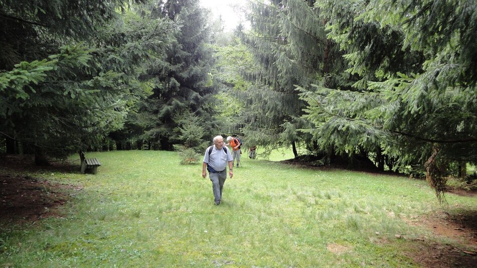 Wanderung R11 Lehrwanderweg - Touren-Impression #2.6 | © Region Graz
