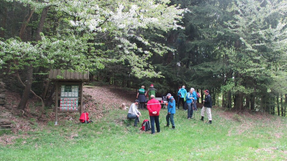 Wanderung R11 Lehrwanderweg - Touren-Impression #2.8 | © Region Graz