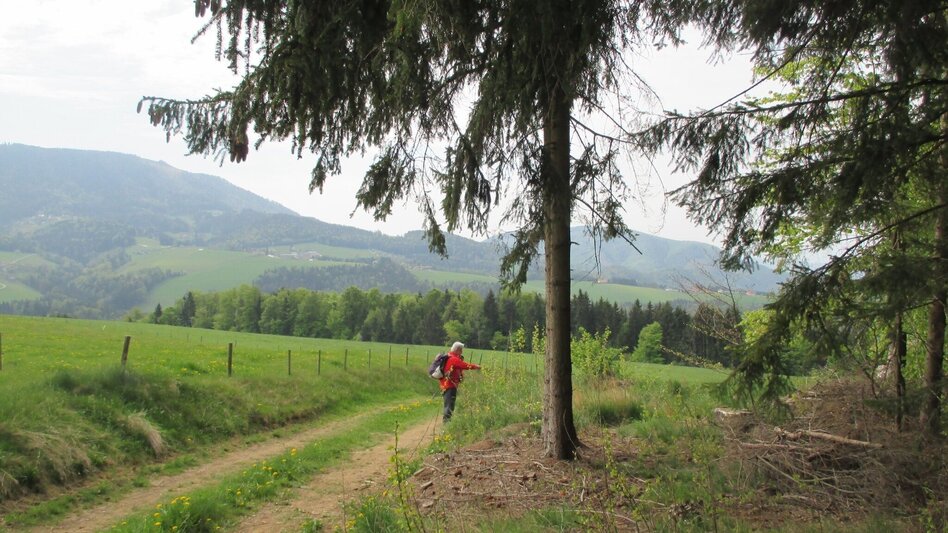 Wanderung R11 Lehrwanderweg - Touren-Impression #2.9 | © Region Graz
