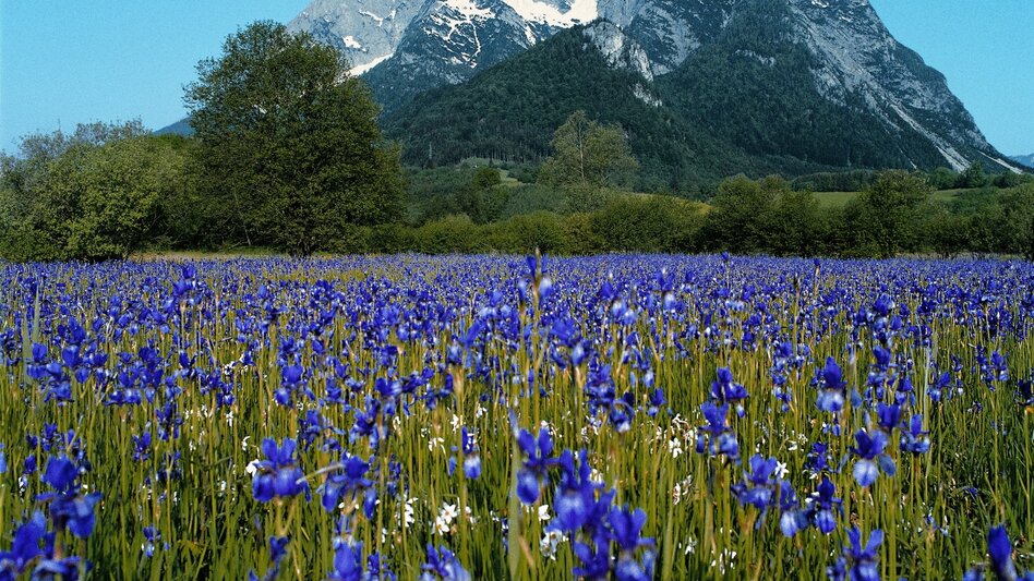 Panoramatouren/Themenstraßen Rund um den Dachstein - Touren-Impression #2.12 | © TV Grimming-Donnersbachtal
