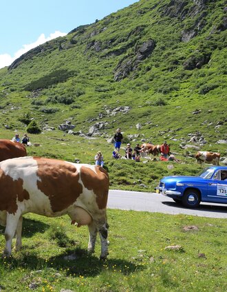 Sölkpass | Martin Huber | © Ennstal-Classic