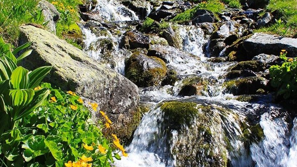 Genusswege Gaaler Rundwanderweg Teil I - Touren-Impression #2.3 | © Erlebnisregion Murtal