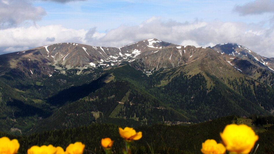 Wanderung Großer Ringkogel von der Gaal - Touren-Impression #2.1 | © Wolfgang Mitteregger