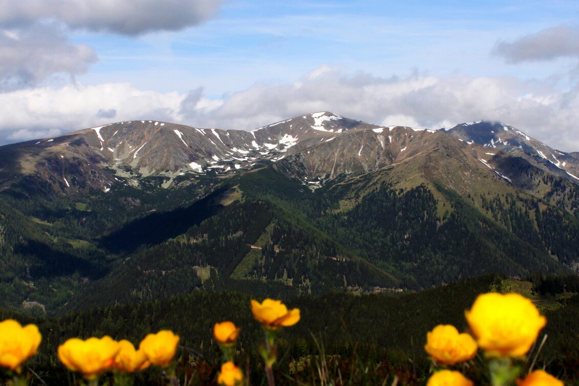 Wanderung Großer Ringkogel von der Gaal - Touren-Impression #1 | © Wolfgang Mitteregger