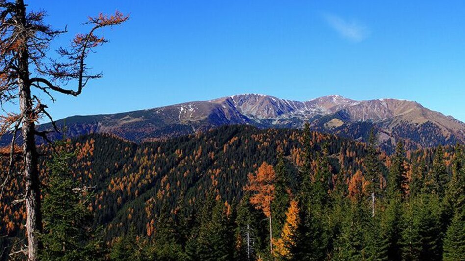 Hiking route Großer Ringkogel from the Reicherhube - Touren-Impression #2.3 | © Erlebnisregion Murtal