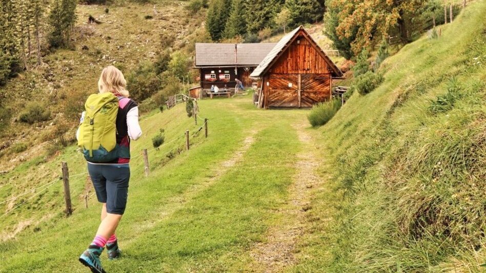 Wanderung Hochalm - Maria Schnee vom Fressenberg - Touren-Impression #2.2 | © Erlebnisregion Murtal