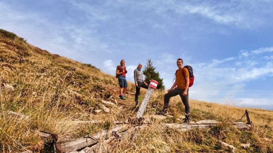 Wanderung Hochalm - Maria Schnee vom Fressenberg - Touren-Impression #2.4 | © Erlebnisregion Murtal