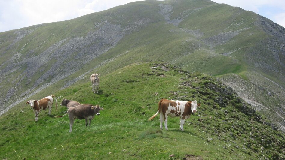 Wanderung Hochalm - Maria Schnee vom Fressenberg - Touren-Impression #2.12 | © Erlebnisregion Murtal