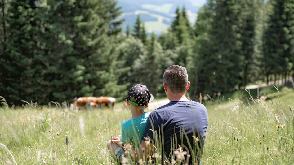 Wanderung Bremstein - Touren-Impression #2.1 | © Region Murtal