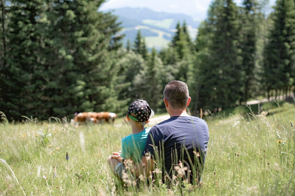 Wanderung Bremstein - Touren-Impression #1 | © Region Murtal
