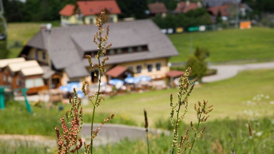 Wanderung Gaaler Höhe von der Gaal - Touren-Impression #2.1 | © Erlebnisregion Murtal