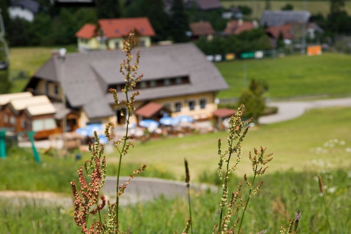 Wanderung Gaaler Höhe von der Gaal - Touren-Impression #1 | © Erlebnisregion Murtal