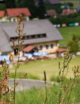 Sportzentrum Gaal | Manuela Machner | © Erlebnisregion Murtal
