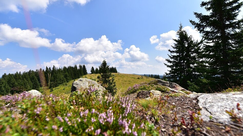 Wanderung Steinplan vom Gaberl - Touren-Impression #2.2 | © Erlebnisregion Murtal