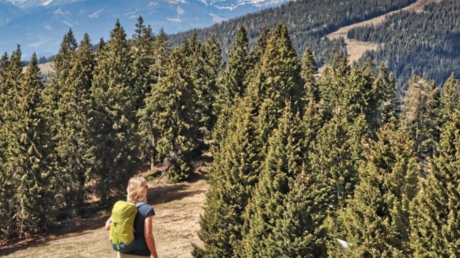 Wanderung Steinplan vom Gaberl - Touren-Impression #2.5 | © Weges OG
