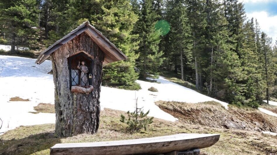 Wanderung Steinplan vom Gaberl - Touren-Impression #2.6 | © Weges OG