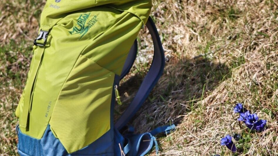 Wanderung Steinplan vom Gaberl - Touren-Impression #2.7 | © Weges OG