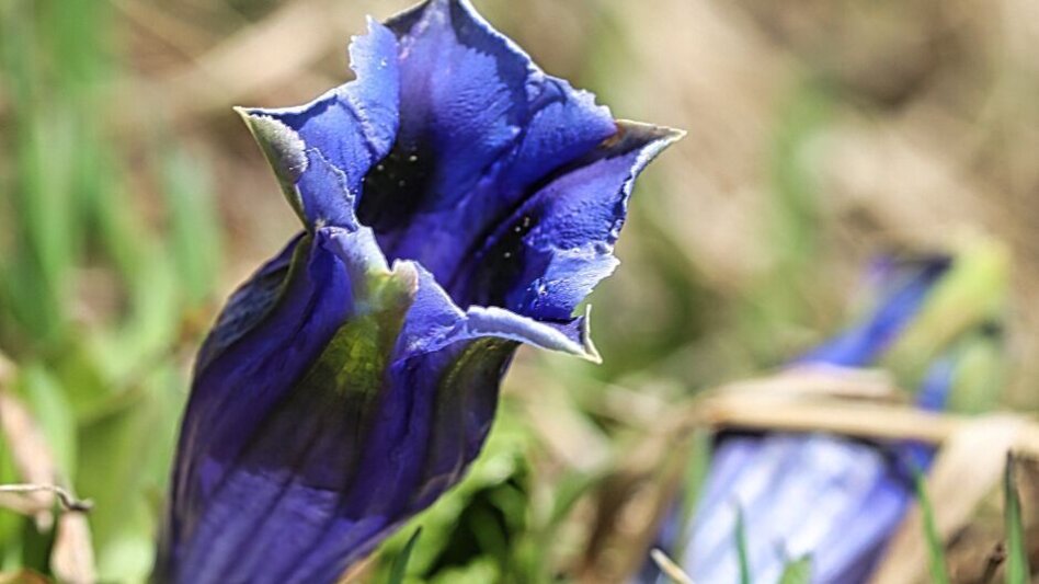 Wanderung Steinplan vom Gaberl - Touren-Impression #2.8 | © Weges OG