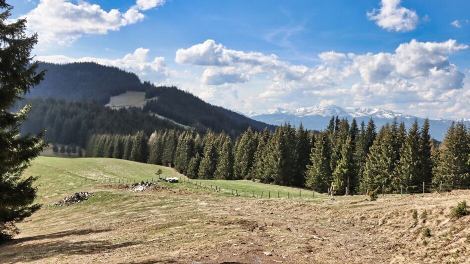 Wanderung Steinplan vom Gaberl - Touren-Impression #2.9 | © Weges OG