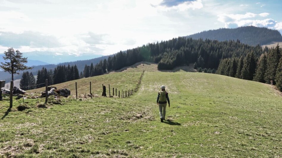 Wanderung Steinplan vom Gaberl - Touren-Impression #2.10 | © Weges OG