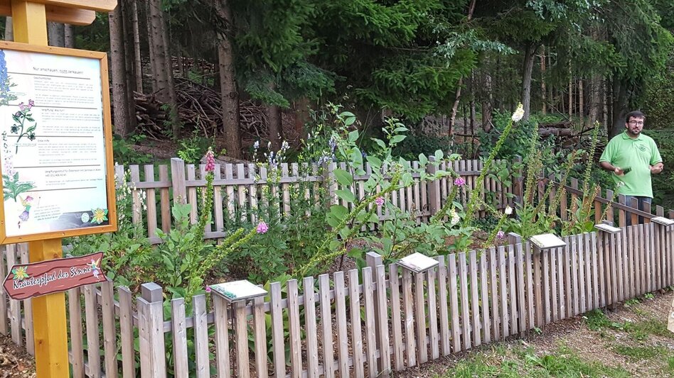 Theme path Herb trail of the senses, Pöllau - Touren-Impression #2.5 | © Tourismusverband Oststeiermark