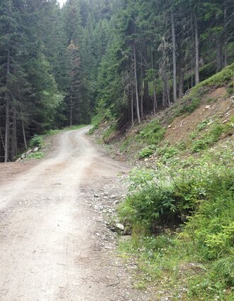 Karbach Walk at Hochwurzen | Gerhard Pilz | © Gerhard Pilz