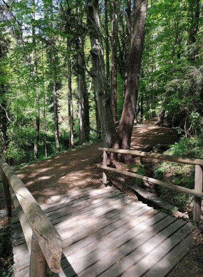 Brühlweg © TV Hartbergerland, Nicole Friesenbichler | © Oststeiermark Tourismus | Nicole Friesenbichler | © Oststeiermark Tourismus