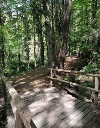 Brühlweg © TV Hartbergerland, Nicole Friesenbichler | Nicole Friesenbichler | © Oststeiermark Tourismus