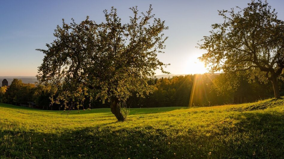 Wanderung Marienpilgerweg, Hartberg - Touren-Impression #2.5 | © Oststeiermark Tourismus