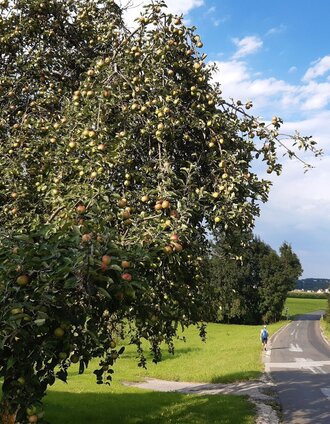 2020_3-Castles-Hiking-Trail_Grafendorf | WEGES | © Oststeiermark Tourismus