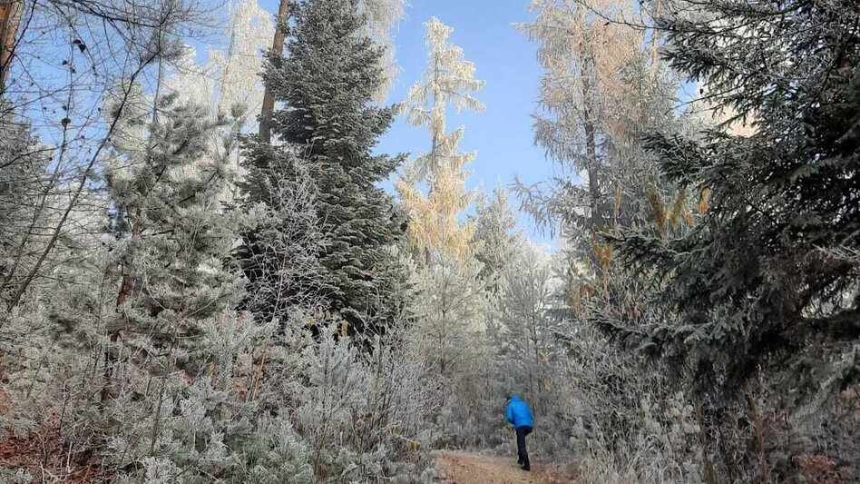 Wanderung G.E.R.A. Park-Rundweg, Eichberg - Touren-Impression #2.17 | © Oststeiermark Tourismus