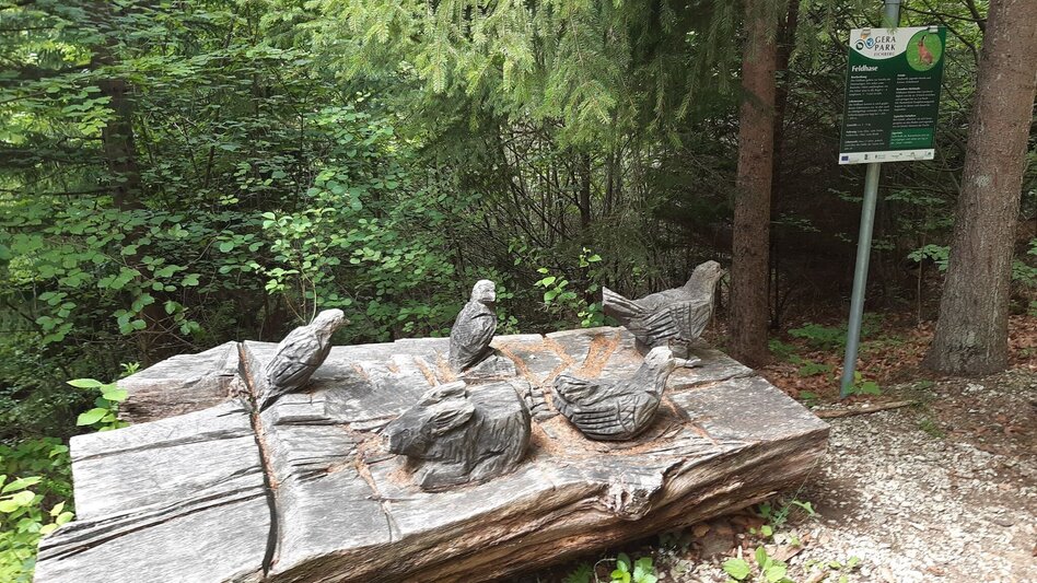 Wanderung G.E.R.A. Park-Rundweg, Eichberg - Touren-Impression #2.4 | © Oststeiermark Tourismus