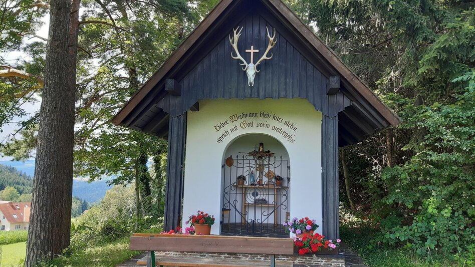 Wanderung G.E.R.A. Park-Rundweg, Eichberg - Touren-Impression #2.5 | © Oststeiermark Tourismus