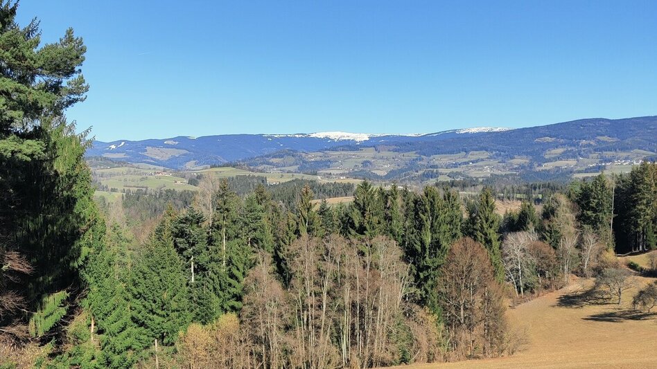 Wanderung G.E.R.A. Park-Rundweg, Eichberg - Touren-Impression #2.14 | © Oststeiermark Tourismus