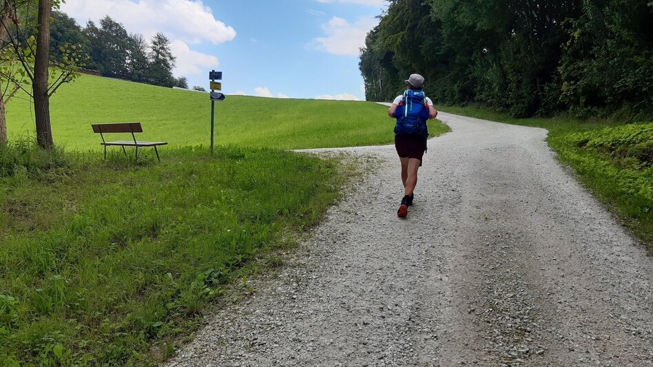 Wanderung G.E.R.A. Park-Rundweg, Eichberg - Touren-Impression #2.6 | © Oststeiermark Tourismus