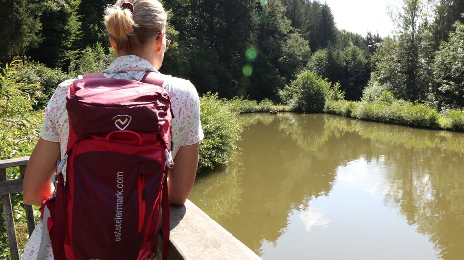 Wanderung G.E.R.A. Park-Rundweg, Eichberg - Touren-Impression #2.13 | © Oststeiermark Tourismus